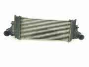 Ladeluftkühler A1645001900 Mercedes-Benz ML II (164/4JG) SUV 3.0 ML-320 CDI 4-Matic V6 24V (OM642.940) 2006