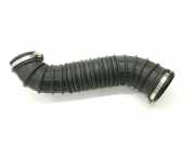 Lufteinlass 2N0129615AN Volkswagen Crafter (SY) Chassis-Cabine 2.0 TDI RWD (DREC) DREC