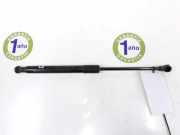 Gasdruckfeder Vorne 51232990344 BMW X1 (E84) SUV sDrive 20d 2.0 16V (N47-D20C) 2009