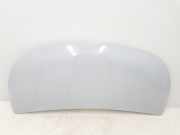 Motorhaube 651224338R Renault L1H1 29t Komfort