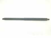 Gasdruckfedern Set Hinten 2GA827552A Volkswagen 1.5 16V TSI ACT (150 CV) 2020 DPCA