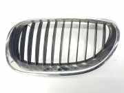 Grill Gitter Links 51137027061 BMW 5 serie (E60) Limousine 530d 24V (M57N-D30(306D2)) 2004