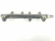 Einspritzdüsen Düsenstock A6640700295 SsangYong Kyron SUV 2.0 M 200 Xdi 16V 4x4 (D20DT(OM664.950)) 2008