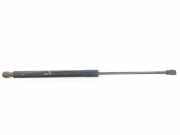 Gasdruckfedern Set Hinten 904529943R Dacia Sandero Schrägheck 1.2 16V (D4F-732) 2013