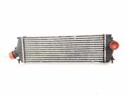 Ladeluftkühler 8200411160C Renault Trafic New (FL) Van 2.0 dCi 16V 115 (M9R-786) 2009