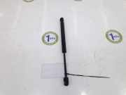 Gasdruckfeder Vorne 7115008102 SsangYong Rexton W SUV 2.0 e-200 Xdi 16V 4WD (D20DTR(Euro 5)) 2013