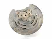 Achsschenkel Links Hinten 4304100Q0B Nissan Primastar Van 1.9 dCi 80 (F9Q-762) 2004