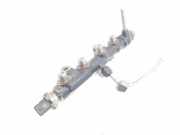 Einspritzdüsen Düsenstock 9825589880 Ford Transit Connect (PJ2) Van 1.5 EcoBlue (ZTGA) 2018