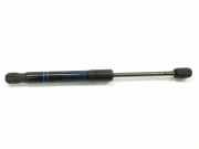Gasdruckfeder Set Vorne 7239233 BMW 4 serie Gran Coupe (F36) Liftback 420i 2.0 TwinPower Turbo 16V (B48-B20A) 2019