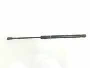 Gasdruckfeder Hinten 51247060622 BMW 1 serie (E81) Schrägheck 3-drs 123d 16V . (N47-D20B) 2007