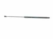 Gasdruckfedern Set Hinten 5H6827550D Volkswagen Golf VIII (CD1) Schrägheck 2.0 GTI 16V (DNPA) 2021 DNPA