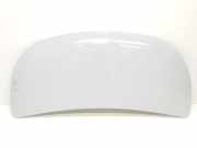 Motorhaube 651224338R Renault L1H1 29t Komfort 2021