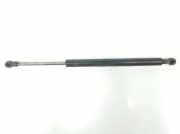 Gasdruckfeder Hinten 51247060623 BMW SERIE 3 BERLINA 2.0 16V DIESEL (163 CV) 2006