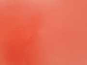 Motorhaube 1160202 Opel Calibra Coupé 2.0i (C20NE) 1992