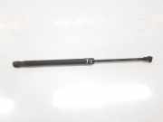 Gasdruckfedern Set Hinten 51237118370 BMW 2.0 16V D (122 CV) 2004