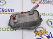 Kühler Automatik 17217529499 BMW 3 serie (E90) Limousine 330i 24V (N52-B30A) 2005