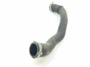 Verschiedenes 9821687780 Peugeot Expert (V1/VA/VB/VE/VF/VT/VY) Van 1.5 BlueHDi 100 (DV5RUCd(YHR))