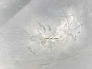 Stoßstange Vorne 6265100Q0H Nissan Primastar Van 2.0 dCi 120 (M9R-780) 2007