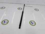 Gasdruckfeder Hinten 68960F4051 Toyota C-HR (X1,X5) SUV 1.8 16V Hybrid (2ZRFXE) 2019