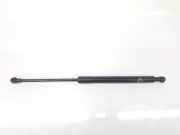 Gasdruckfeder Set Vorne 51237129190 BMW 3 serie (E92) Coupé 320d 16V (N47-D20A) 2008