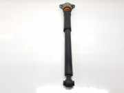 Stoßdämpfer Links Hinten A2043260598 Mercedes-Benz A (W176) Schrägheck 2.2 A-200 CDI, A-200d 16V (OM651.930(Euro 6)) 2014