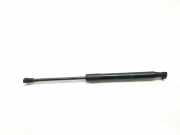 Gasdruckfeder Set Vorne 51232990344 BMW X1 (E84) SUV xDrive 18d 2.0 16V (N47-D20C) 2014