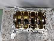 Motorblock 219T203S00 Kia Niro I (DE) SUV 1.6 GDI Hybrid (G4LE)