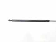 Gasdruckfedern Set Hinten 51248402405 BMW X5 (E53) SUV 3.0d 24V (M57N-D30(306D2)) 2004