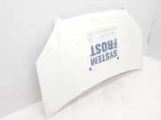 Motorhaube 51934310 Fiat Doblo Cargo (223) Van 1.9 D (223.A.6000)
