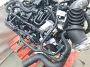 Motor COMPLEET B7NB Ford Tourneo Großraumlimousine 1.0 12V Ecoboost (B7JB)