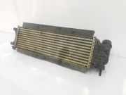 Ladeluftkühler 144614JA0B Nissan NP 300 Navara (D23) Pick-up 2.3 dCi twinturbo 16V 4x4 (YS23DDT) 2015
