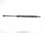 Gasdruckfeder Hinten 51244502963 BMW 3 serie (E46/2) Coupé 330 Ci 24V (M54-B30(306S3)) 2003