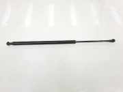 Gasdruckfeder Hinten 51248402405 BMW X5 (E53) SUV 3.0d 24V (M57N-D30(306D2)) 2004