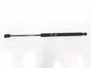 Gasdruckfeder Hinten 3C9827550A Volkswagen Passat (3C2) Limousine 2.0 TDI 140 (BMP) 2006 BMP