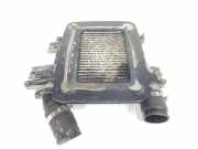Ladeluftkühler 14461VC106 Nissan Terrano II (R20/TR50) Geländewagen 3.0 Di 16V (ZD30DDTi)