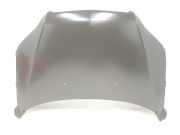 Motorhaube 95164301 Daewoo / Chevrolet Aveo (250) Schrägheck 1.2 16V (B12D1) 2009