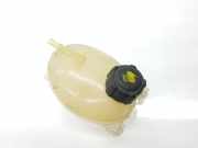 Ausgleichbehälter 217104354R Renault IV GRANDTOUR Dynamique