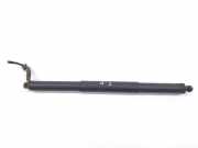 Gasdruckfedern Set Hinten 80A827851A Audi 2.0 TDI (163 CV) 2017