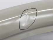 T?r Links Vorne 801010179R Renault L1H1 29t Komfort