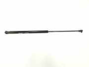 Gasdruckfedern Set Hinten 8D9827552H Audi A3 (8L1) Schrägheck 1.9 TDI 100 (ATD) 2003