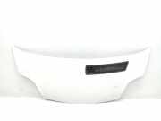 Motorhaube 651005147R Renault Trafic New (FL) Van 2.0 dCi 16V 115 (M9R-630(M9R-A6)) 2013