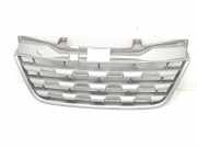 Grill 623100256R Renault Master III (MA/MB/MC/MD/MH/MF/MG/MH) Van 2.3 dCi 16V (M9T-B8) 2013