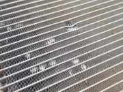 Luft-Kühler 8846060240 Toyota Land Cruiser 90 (J9) Hardtop Geländewagen 3.0 TD (1KZTE) 1996