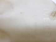 Scheibenwaschbehälter Vorne 3801898 Iveco New Daily IV Van 35C13V, C13V/P, S13V, S13V/P (F1AE0481V) 2014