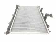 Radiator 253101E000 Hyundai Accent Limousine 1.4i 16V (G4EE) 2006
