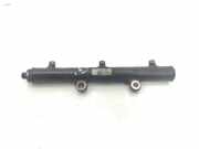 Einspritzdüsen Düsenstock 1369552 Land + Range Rover Range Rover Sport (LS) Geländewagen 2.7 TDV6 24V (276DT) 2005