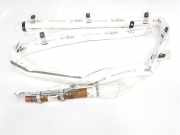 Vorhang Airbag Rechts VOOR 5NL880742N Volkswagen ALLSPACE BJ2 R-LINE