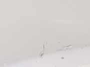 Kotflügel Rechts Vorne 12797541 Saab 9-3 II Sport Limousine (YS3F) Limousine 2.2 TiD 16V (D223L) 2004