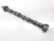 Nockenwelle 6G9Q6A268AC Land + Range Rover Freelander II Geländewagen 2.2 td4 16V (224DT)