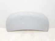 Motorhaube 651224338R Renault L1H1 29t Komfort